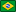 Brazilian Flag